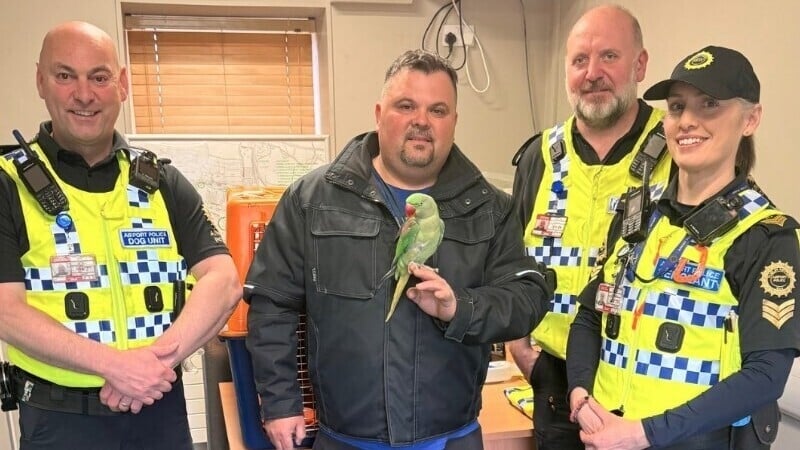 Lost parrot reunited with owner after Dublin Airport stay
