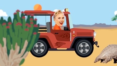 Auntie B's Fantastic Facts - streaming now on RTÉ Player!