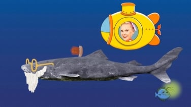 Fun facts about the Greenland shark and more!