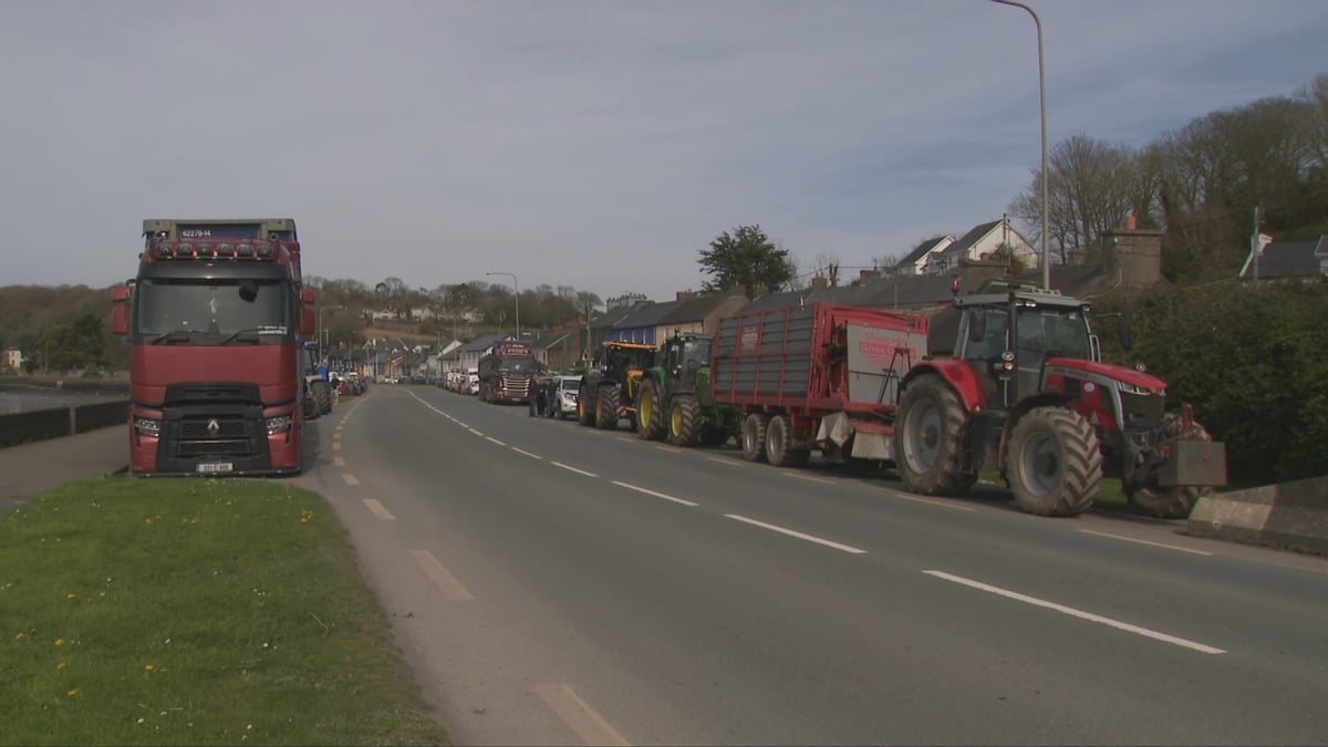 Minister of State Jerry Buttimer responds to the fuel protests