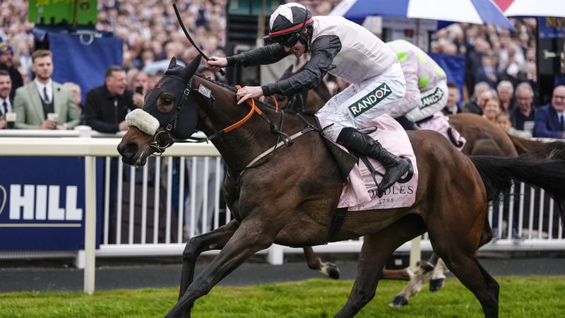 Aintree round-up: Mange Tout digs in Juvenile Hurdle