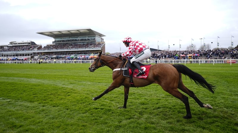 Cheltenham compensation for Jango Baie after Bowl victory