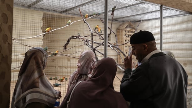 Visitors look at birds in the Tripoli zoo after its reopening on the first day of the Eid al-Fitr holiday