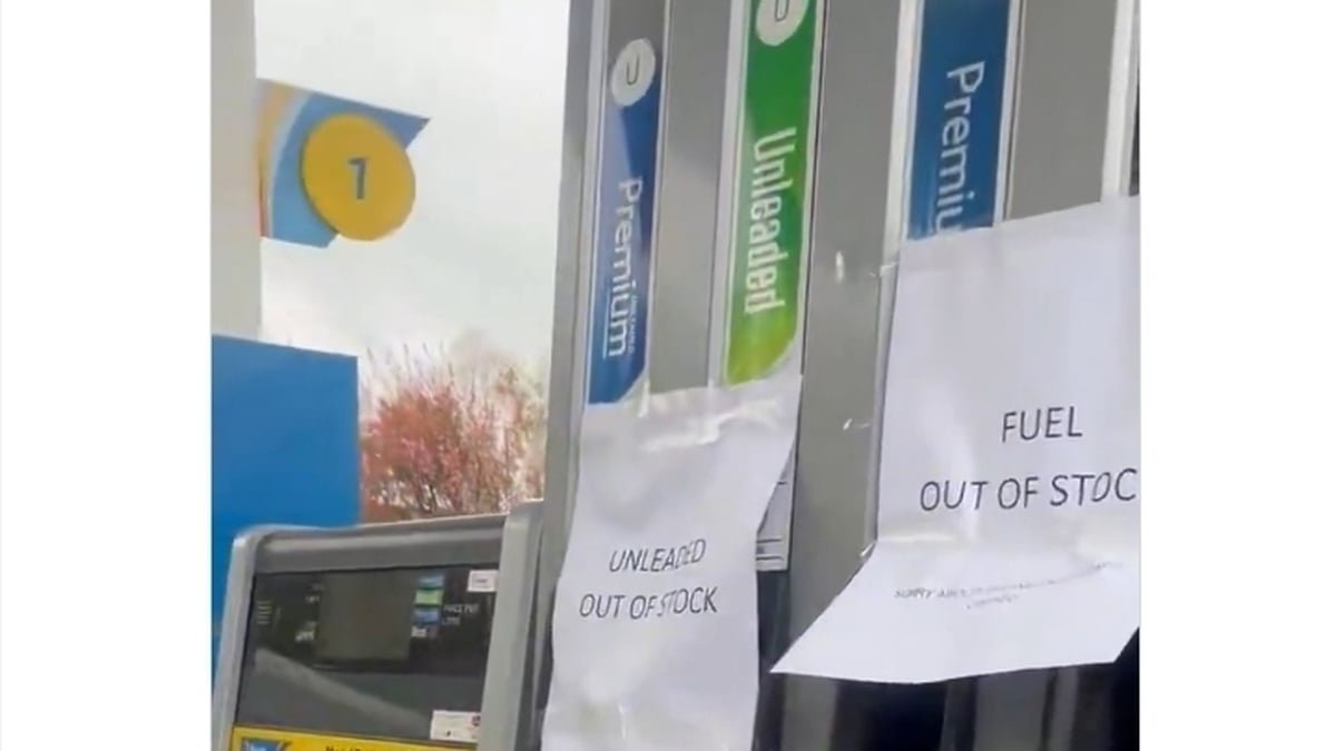 Micheál Ó Drisleáin, Orla Ní Luasa, Micheál Ó Céadagáin,  Tadhg Ó Céilleachair, Neasa Uí Mhoráin