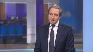 Tánaiste urges protesters to 'step back from the brink'