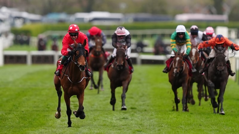 Home By The Lee proves king of the stayers at 11