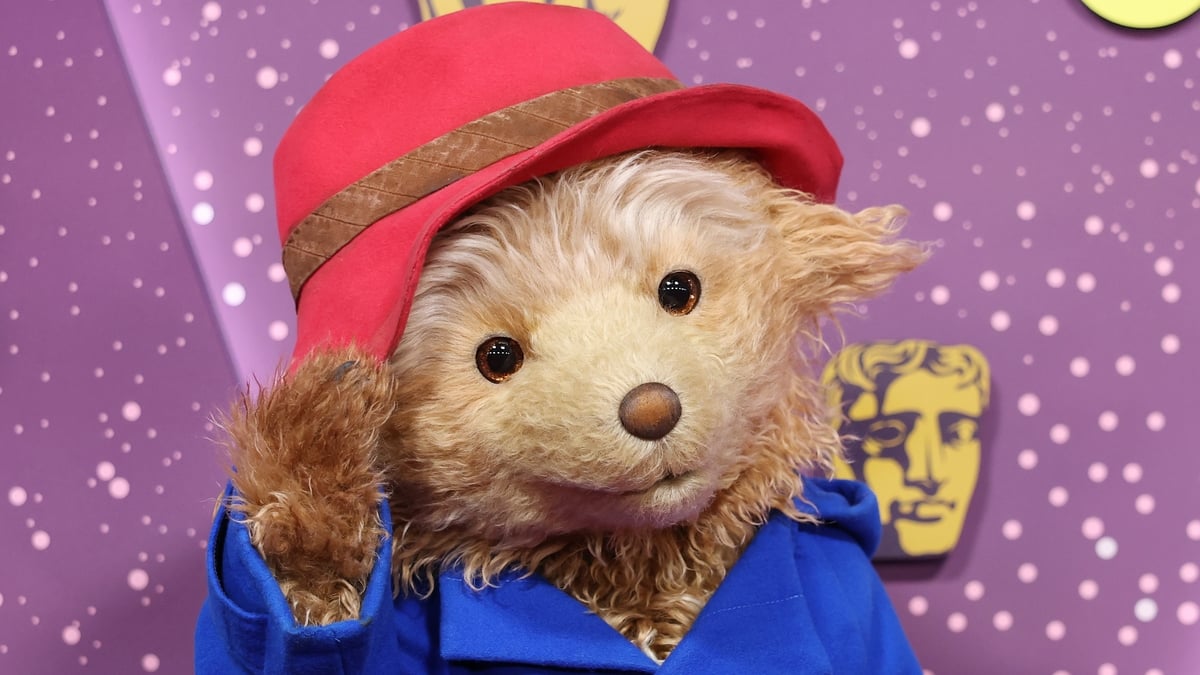 Arti Shah on playing Paddington Bear in the West End