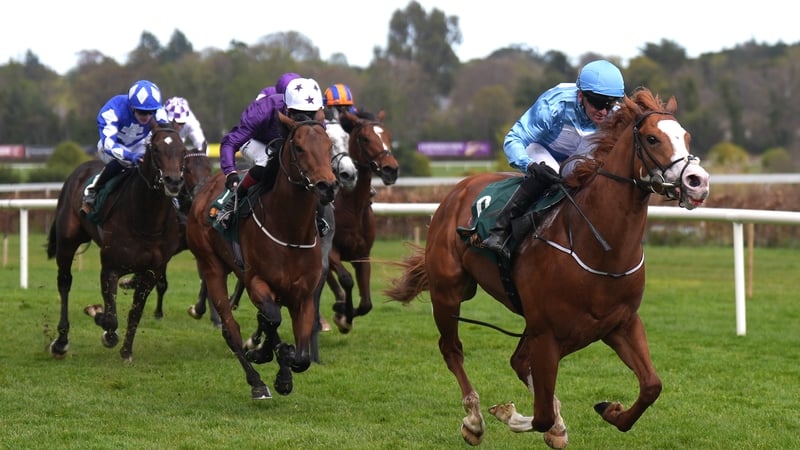 Thesecretadversary and True Love take Guineas trials