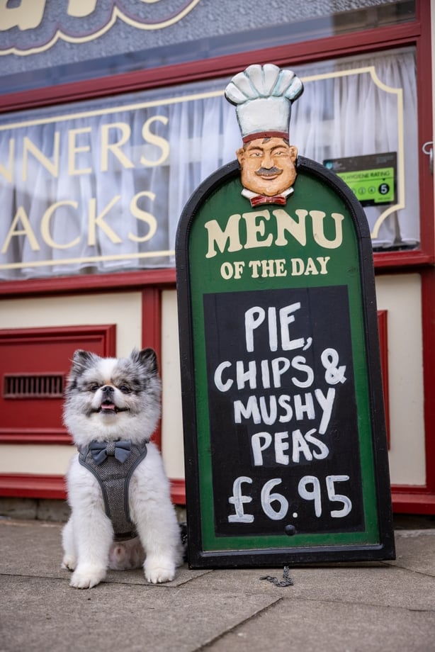 Boris the Pomeranian on the Coronation Street cobbles in Manchester. Photo: James Speakman/PA Media Assignments