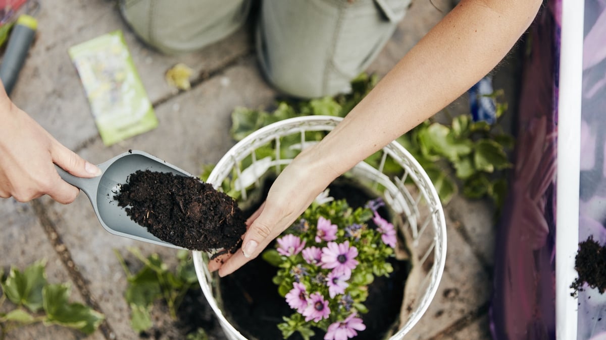 Jobs in the garden for May into June with Ealma Purcell