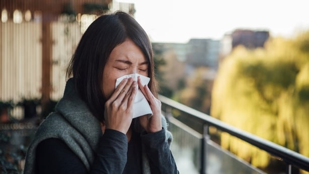 Head shot of young woman having allergy symptoms, covering her nose with tissue while sneezing.