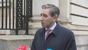 'The level of pain that people are feeling in this country is real', says Tánaiste