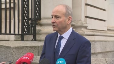 Difference between protesting and blocking critical infrastructure - Taoiseach