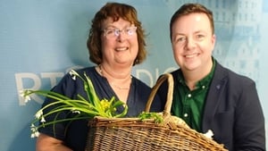 The do’s and don’ts of foraging with Margaret Harris show image