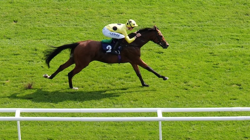 Leading 2000 Guineas hopes work at Newmarket