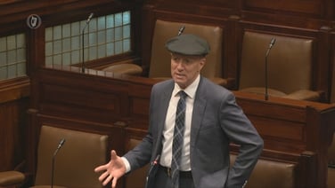 Michael Healy-Rae resigns as Minister of State