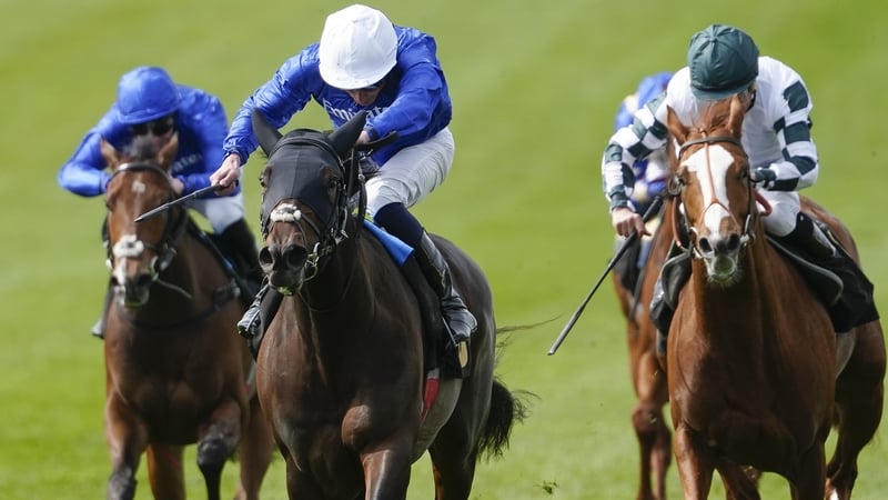 Talk Of New York on course for 2000 Guineas after win