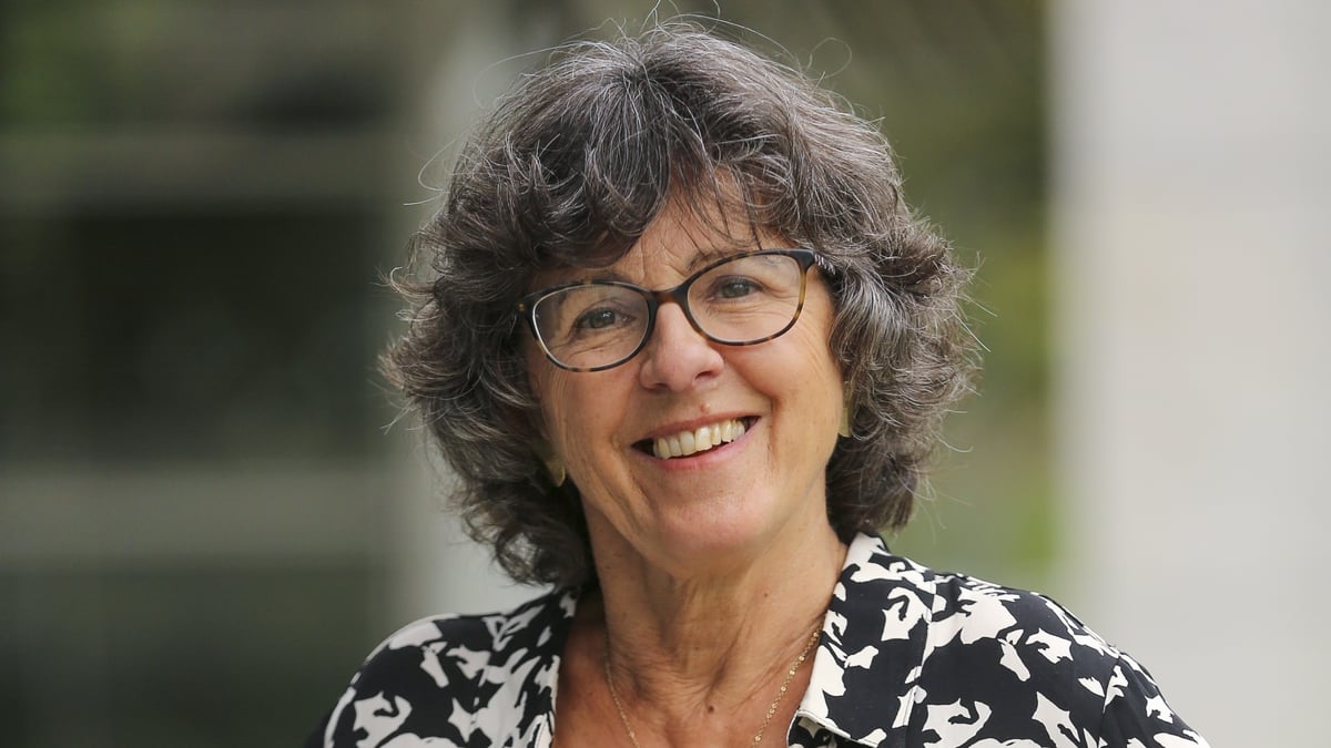 Henry Street Days, by Doireann Ní Bhriain