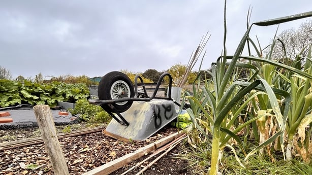A wheelbarrow upside down in an allotment in Raheny, Dublin