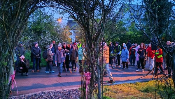 Tipperary ecovillage - pic: Petula Martin - RTE