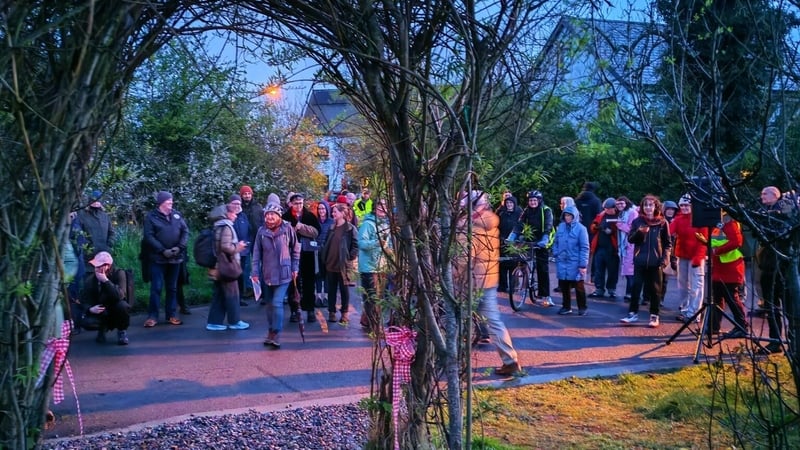Tipperary ecovillage - pic: Petula Martin - RTE