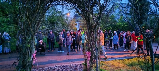 Ecovillage Tipperary - pic - Petula Martin - RTE