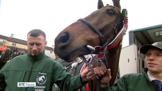 Grand National winner I Am Maximus returns home to Carlow