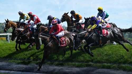 Racing From Punchestown