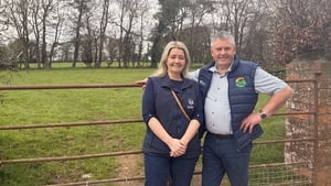 An Feirm Ground show image