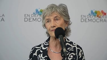 President 'looking forward' to Council of State advice