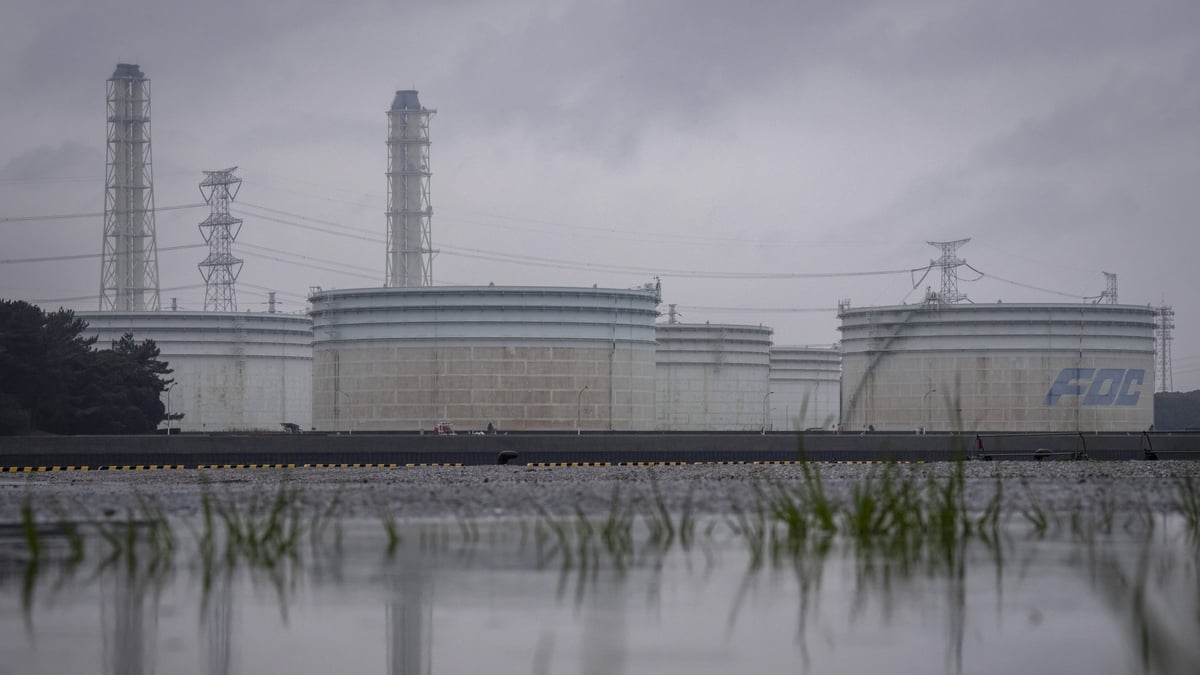 Hoarding Goes Global