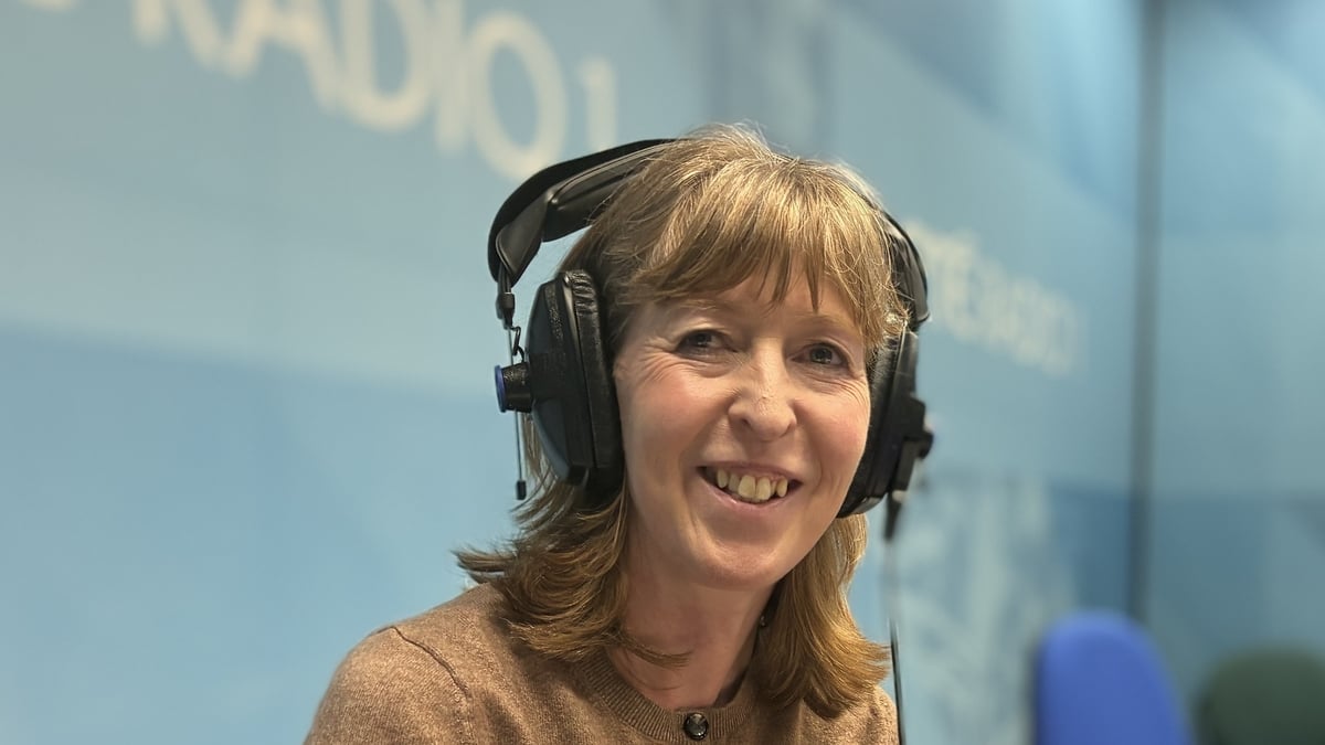 The Visitor, by Carol Taaffe  