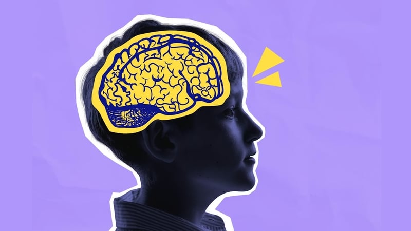 memory brain neuroscience