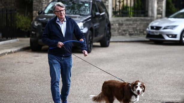 Former UK ambassador to the United States, Peter Mandelson, walks his brown-and-white border collie "Jock", outside his residence in central London
