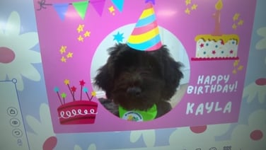 news2day Monday, 20 April 2026