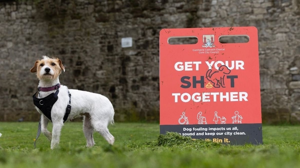 Get Your Sh*t Together – campaign to tackle plague of dog poo