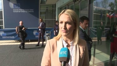 McEntee urges counterparts to suspend EU-Israel agreement