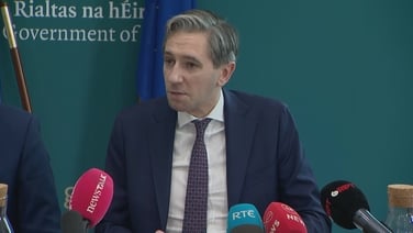 State surplus set to grow to €9.2bn - Harris