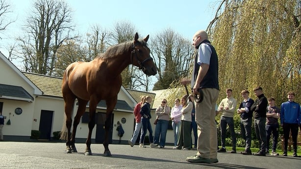 Coolmore careers fair - pic - Petula Martin RTE