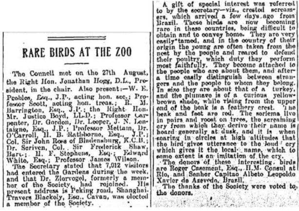 Clipping from the Evening Herald (17 August 1911) announcing the arrival of Casement's seriema at Dublin Zoo