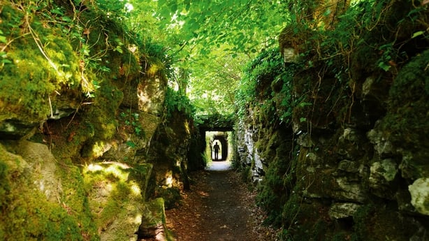 Cong woods - pic - Pat McGrath - RTE