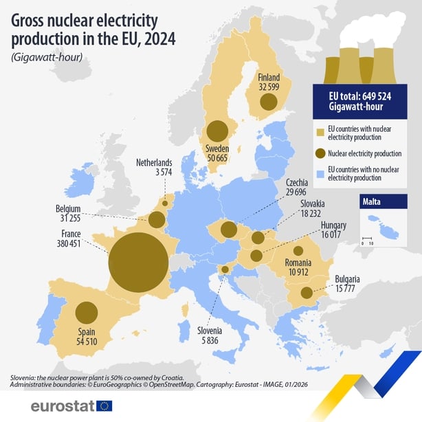 Nuclear energy producing countries in the EU in 2024