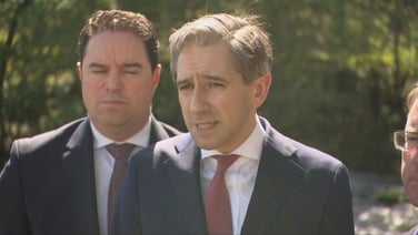 Tánaiste Simon Harris has said homelessness is 'far too high'