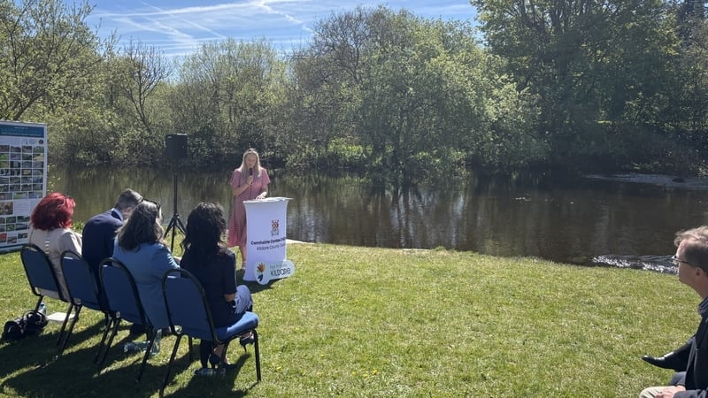 Ballymore Eustace - first age and climate friendly village - pic - Karen Creed - RTE