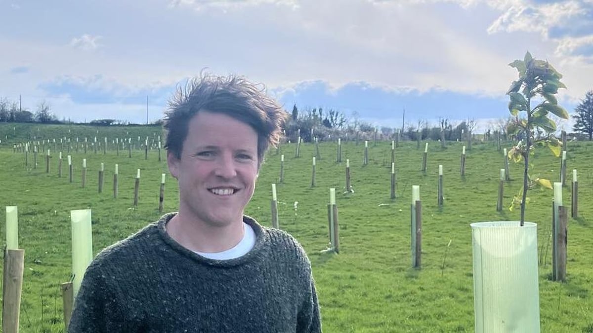 Gary Patterson – Agroforestry  