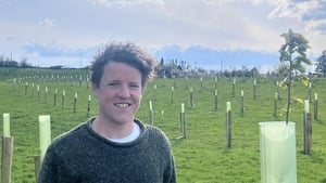 Gary Patterson – Agroforestry   show image