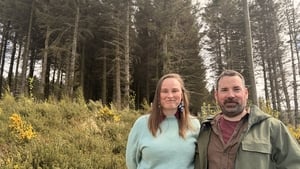 Forest songs show image