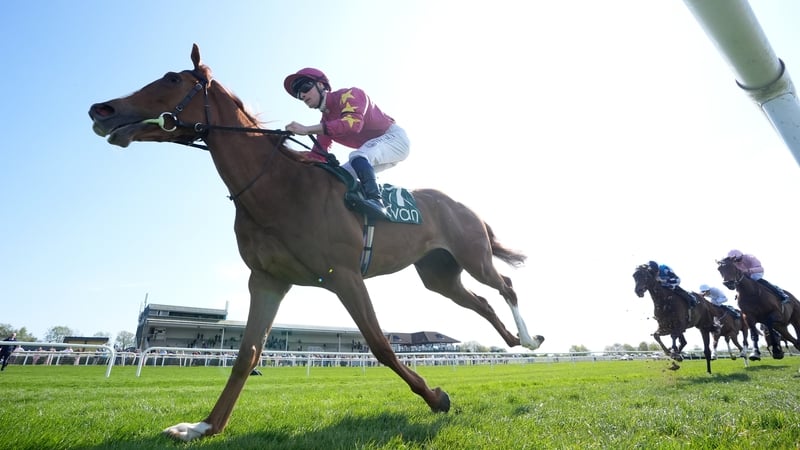 Thundering On stars in Salsabil at Navan