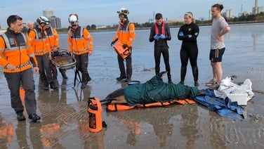 Dolphin dies in Dublin despite multi-agency rescue operation
