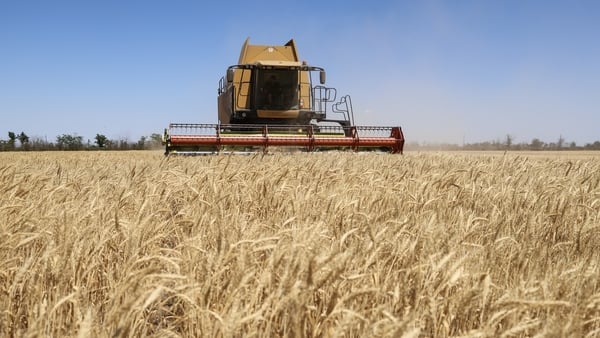 KHERSON OBLAST, UKRAINE - JULY 24: An employee of the farming enterprise, Vitalii, harvests wheat with a combine on one of the fields on July 24, 2025 in Kherson Oblast, Ukraine. The harvest is underway in Ukraine, and harvesting is especially difficult i
